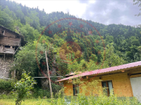 Artvin Merkez Alabalık Köyü Milli Emlak'tan Satılık 125,35 m2 Tarla