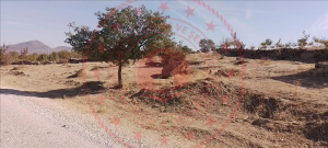 Uşak Eşme Bozlar Köyü Milli Emlak'tan Satılık 1.461,50 m2 Tarla
