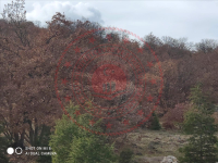 Konya Meram Kayalı Köyü Milli Emlak'tan Satılık 7.122,47 m2 Arsa