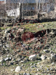 Afyonkarahisar Sinanpaşa Tınaztepe Milli Emlak'tan Satılık 92,06 m2 Arsa