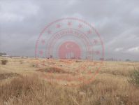 Malatya Akçadağ Ören Milli Emlak'tan Satılık 1.008,89 m2 Arsa