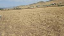 Bingöl Merkez Gözeler Köyü Milli Emlak'tan Satılık 4.251,12 m2 Tarla