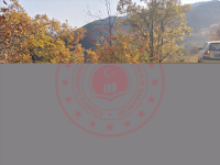 Artvin Ardanuç Cevizli Köyü Milli Emlak'tan Satılık 394,61 m2 Tarla