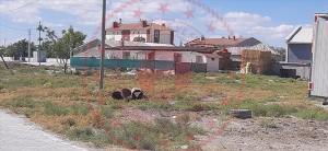 Konya Karatay Karakaya Köyü Milli Emlak'tan Satılık 586,42 m2 Tarla