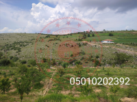 Amasya Merkez Ermiş Köyü Milli Emlak'tan Satılık 2.866,03 m2 Tarla