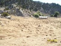 Konya Seydişehir Madenli Köyü Milli Emlak'tan Satılık 294,00 m2 Tarla