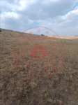 Erzurum Karayazı Ağaçlı Köyü Milli Emlak'tan Satılık 829,12 m2 Tarla