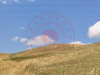 Amasya Merkez Doğantepe Köyü Milli Emlak'tan Satılık 629,41 m2 Tarla