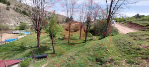 Kastamonu Merkez Alpagut Köyü Milli Emlak'tan Satılık 1.443,27 m2 Tarla