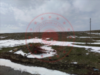 Sivas Yıldızeli Güneykaya - Yenicami  Milli Emlak'tan Satılık 480,54 m2 Arsa