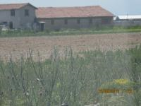 Konya Meram Kaşınhanı Mahallesi Milli Emlak'tan Satılık 1.499,47 m2 Arsa