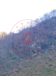 Giresun Doğankent Kozköy Köyü Milli Emlak'tan Satılık 3.752,69 m2 Tarla