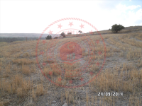 Konya Beyşehir Çivril Köyü Milli Emlak'tan Satılık 347,26 m2 Tarla