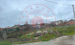 Balıkesir Karesi Turplu Köyü Milli Emlak'tan Satılık 952,72 m2 Tarla