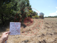 Kırklareli Merkez Yündalan Köyü Milli Emlak'tan Satılık 119,30 m2 Tarla