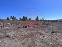 Tokat Sulusaray Beyazıt Köyü Milli Emlak'tan Satılık 12.083,82 m2 Tarla