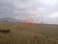 Malatya Akçadağ Ören Milli Emlak'tan Satılık 811,79 m2 Arsa