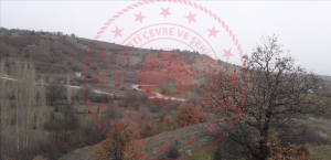 Çorum Merkez Yenihayat Köyü Milli Emlak'tan Satılık 1.469,83 m2 Tarla