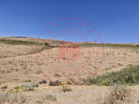 Van Tuşba Yumrutepe Köyü Milli Emlak'tan Satılık 20.941,02 m2 Tarla