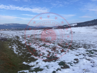 Sinop Saraydüzü Tepeköy Köyü Milli Emlak'tan Satılık 1.109,47 m2 Tarla