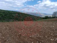 Çorum Mecitözü Kayı Köyü Milli Emlak'tan Satılık 8.513,81 m2 Tarla