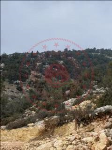Mersin Erdemli Karahıdırlı Köyü Milli Emlak'tan Satılık 1.374,38 m2 Tarla