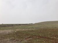 Mardin Midyat Şenköy Köyü Milli Emlak'tan Satılık 3.500,10 m2 Tarla