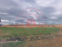 Konya Hüyük Ebulvefa Köyü Milli Emlak'tan Satılık 2.733,82 m2 Tarla