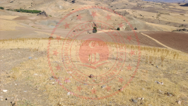 Erzincan Tercan Aktaş Köyü Milli Emlak'tan Satılık 23.289,37 m2 Tarla