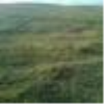 Ankara Bala Yaylalıözü Köyü Milli Emlak'tan Satılık 1.383,42 m2 Tarla