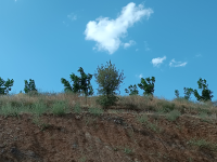 Bitlis Merkez İçmeli (Merkök) Köyü Milli Emlak'tan Satılık 3.668,35 m2 Tarla