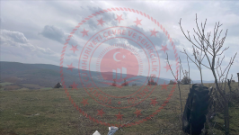 Kastamonu Taşköprü Karnıaçık Köyü Milli Emlak'tan Satılık 2.248,00 m2 Tarla
