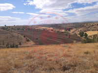 Sivas Merkez Başıbüyük Köyü Milli Emlak'tan Satılık 15.299,42 m2 Tarla