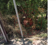 Muğla Ortaca Cumhuriyet Mahallesi Milli Emlak'tan Satılık 82,18 m2 Arsa