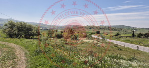 Balıkesir Karesi İbirler Köyü Milli Emlak'tan Satılık 1.147,96 m2 Tarla