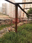 Mardin Artuklu Yalım Köyü Milli Emlak'tan Satılık 446,61 m2 Arsa