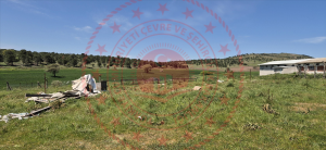 Balıkesir Karesi Yeniköy Köyü Milli Emlak'tan Satılık 802,06 m2 Tarla
