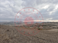 Balıkesir Karesi Halkapınar Köyü Milli Emlak'tan Satılık 1.637,79 m2 Tarla