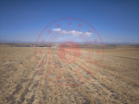 Ağrı Hamur Adımova Köyü Milli Emlak'tan Satılık 7.154,23 m2 Tarla