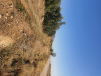 Burdur Merkez İlyas Köyü Milli Emlak'tan Satılık 6.524,11 m2 Tarla