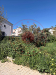 Aydın Didim Yenimahalle Milli Emlak'tan Satılık 386,58 m2 Arsa
