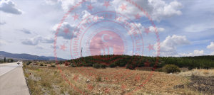 Konya Meram Kızılören Kasabası Milli Emlak'tan Satılık 3.432,37 m2 Arsa