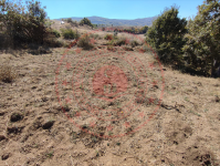 Amasya Merkez Direkli Köyü Milli Emlak'tan Satılık 9.336,29 m2 Tarla