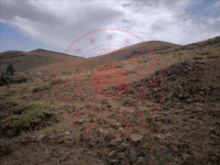 Ağrı Hamur Çağlayan Köyü Milli Emlak'tan Satılık 2.224,04 m2 Tarla