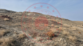 Çorum Merkez İğdeli Köyü Milli Emlak'tan Satılık 8.215,84 m2 Tarla