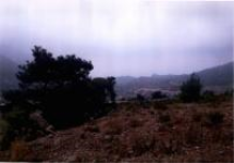 Muğla Fethiye Karaağaç Köyü Milli Emlak'tan Satılık 551,65 m2 Arsa