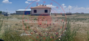 Konya Karatay Akörenkışla Köyü Milli Emlak'tan Satılık 505,52 m2 Tarla