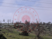 Balıkesir Karesi Kabakdere Köyü Milli Emlak'tan Satılık 2.411,60 m2 Tarla