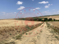Edirne Uzunköprü Turnacı Köyü Milli Emlak'tan Satılık 4.730,06 m2 Tarla