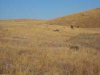 Afyonkarahisar İscehisar Eskihamam Mahallesi Milli Emlak'tan Satılık 2.370,31 m2 Arsa